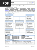 Nonconformity & Corrective Action Turtle Diagram