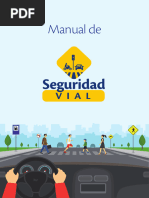 Manual de Seguridad Vial