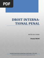 Droit International Penal