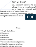 Epithelial Tissue Duru-1