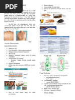 Introduction To Mycology