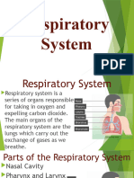 Respiratory System GRADE 6