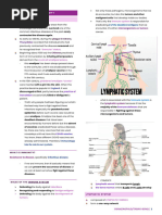 Lymphatic System and Immunity