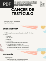 Cáncer de Testículo - 20240212 - 133253 - 0000