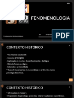 Slides - Apresentação de Fenomenologia