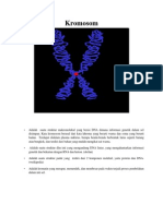 Makalah Dna