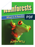 Sample Pages Active Wild What Is A Rainforest