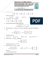 PRAC DIRIG - Matrices-Determinantes - 2024 - A