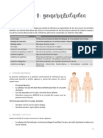 Apuntes Anatomía Humana Terminados