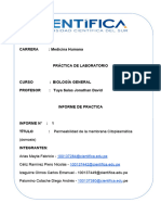 Informe de Laboratorio N°1