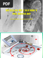 Huellas Calzado 2017