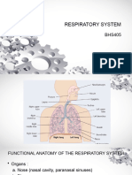 Respiratory System