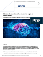 Cómo Se Desencadenan Las Emociones Según La Neurociencia