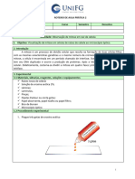 Roteiro Aula Prática