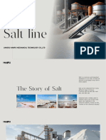 Salt Line-Jiangsu Hanpu Mechanical Technology Co.,ltd