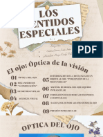 Ojo I. Óptica de La Visión