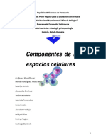 Trabajo Fisiopatología - PDF 20240429 094318 0000