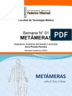 Clase 1 Metámeras