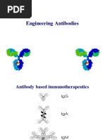 Engineering Antibodies