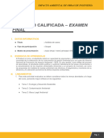 Actividad Calificada - Examen: Final