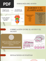 Fisiología Del Gusto