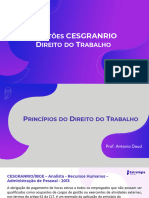 CESGRANRIO - Direito Do Trabalho