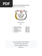 Hospital Structure Organization 2