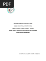 Ensayo Medios de Control Constitucional