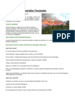 Prevención de Incendios Forestales