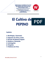 El Cultivo de PEPINO