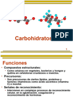 CARBOHIDRATOS