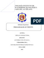 Informe Jarabe de Naraja