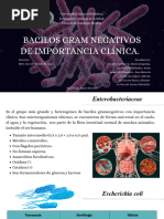 Basilos Gram (-) Diapositivas