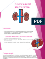 Insuficiencia Renal...