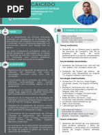 Curriculum Vitae Full Slrio