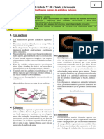 Ficha N°09-Anélidos-y-Moluscos