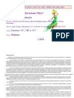 Propuesta Anual - 3 A, 3b y 3 C Mitre