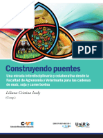 Construyendo Puentes - UniRío Editora