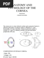 Anatomy and Physiology of The Cornea