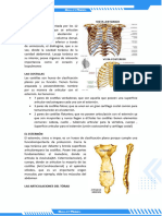 SeminarioTorax y ColunmaVertebral