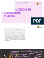 Sexual Reproduction in Flowering Plants