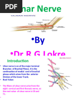 Ulnar Nerve PPT by Dr.R.G.lokre 2021-1