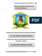 Modelo de Plan de Accion Seguridad Ciudadana