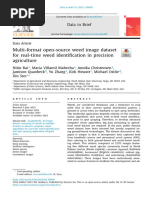 Multi Format Open Source Weed Image Dataset For Real Time Weed - 2023 - Data in