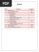 Commercial Beekeeping Project Report Group G