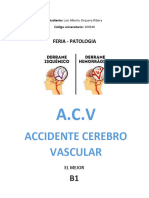 INVESTIGACION ACCIDENTE CEREBRO VASCULAR Patologia 1