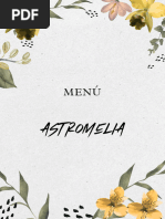 Carta Astromelia - 2024