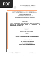 Informe Técnico María José Ruíz Sanginéz