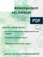 Ciclo Biogeoquímico Del Oxígeno - Equipo 5