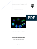 Manualde Practicasparael Laboratoriode Bilogia Celular